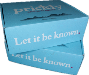 Holiday Season Gift Box